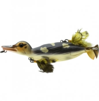 3D Suicide Duck (Surface)